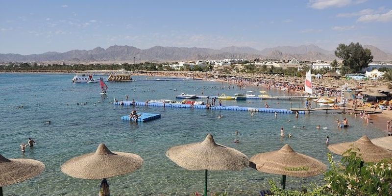 Turkish Airlines Sharm El-Sheikh Office in Egypt