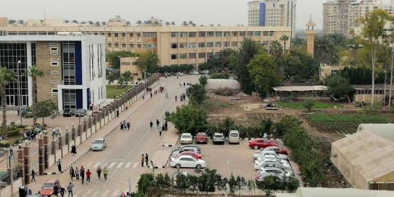 Mansoura