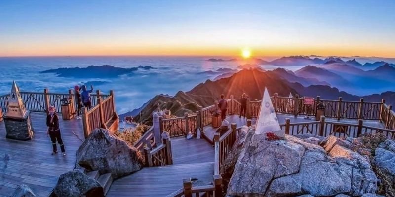Sapa